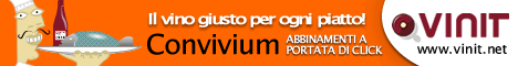 VINit.net Banner Network